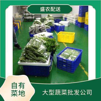 东莞蔬菜配送服务 确保新鲜蔬菜批发直达餐桌